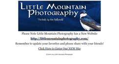 Desktop Screenshot of little-mountain.com